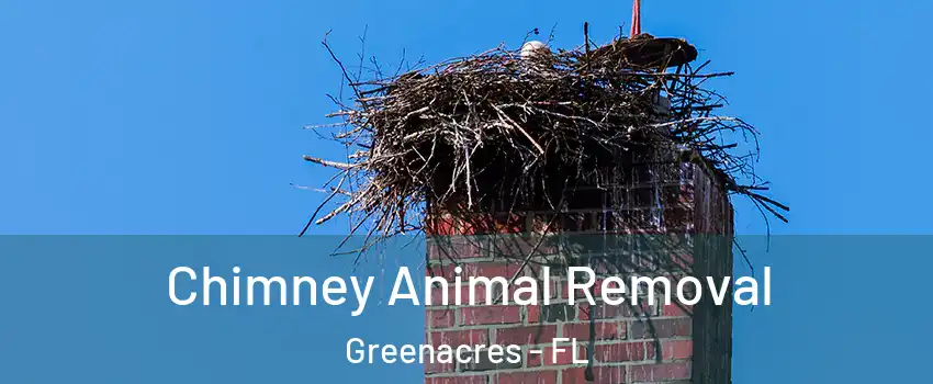 Chimney Animal Removal Greenacres - FL