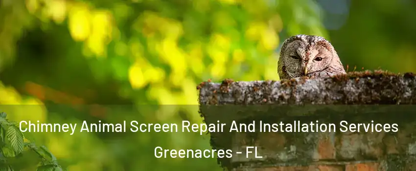  Chimney Animal Screen Repair And Installation Services Greenacres - FL