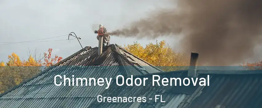  Chimney Odor Removal Greenacres - FL