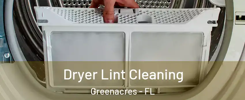  Dryer Lint Cleaning Greenacres - FL