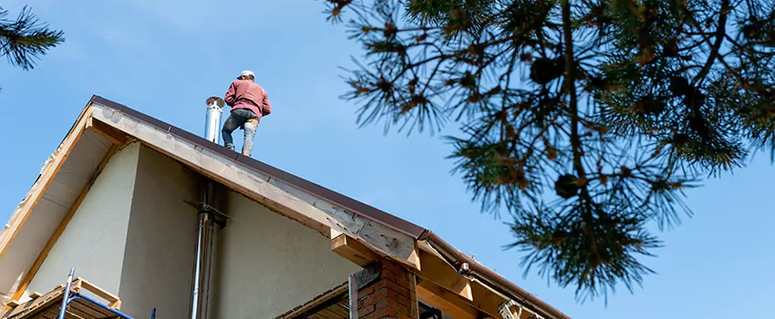 Birds Removal Contractors from Chimney in Greenacres, FL