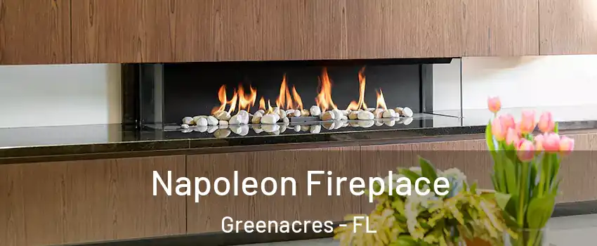  Napoleon Fireplace Greenacres - FL